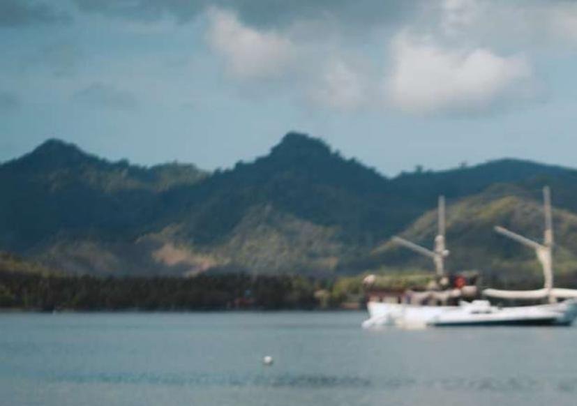 Ikan Kayu private yacht charter in Komodo