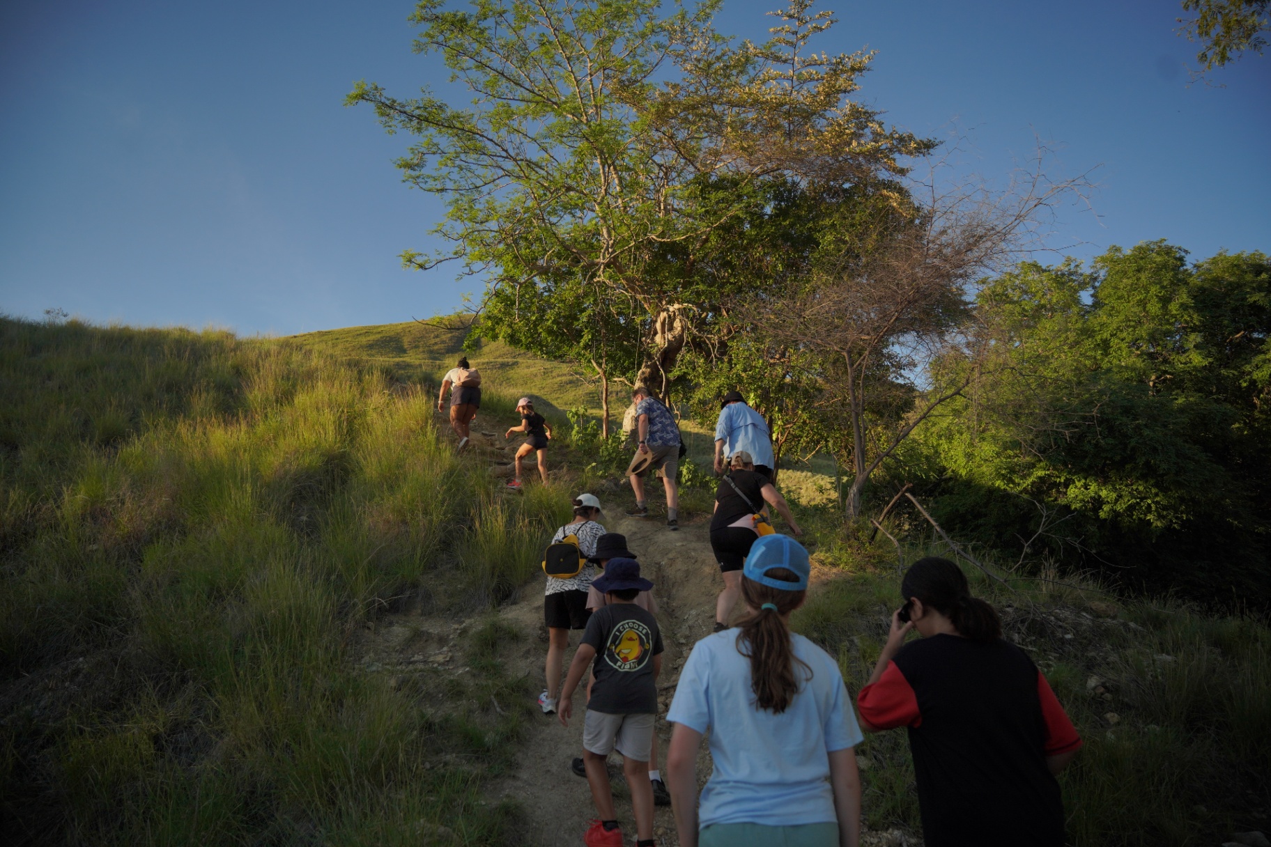 Augustine Phinisi private yacht charter in Komodo