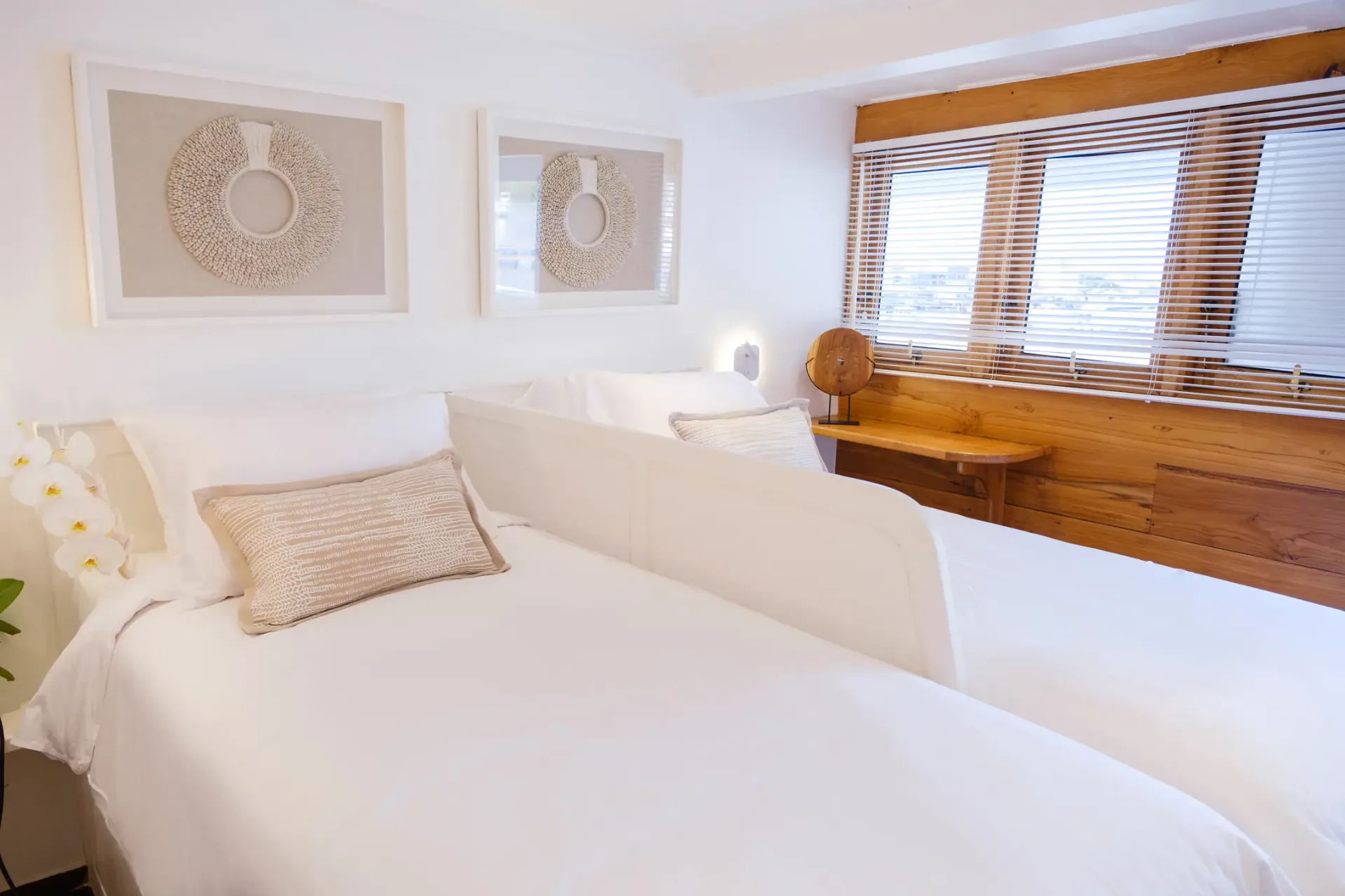 Aliikai private yacht charter in Komodo